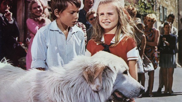 Acteurs De Belle Et Sébastien 1965 Belle and Sebastian (1965) - TheTVDB.com