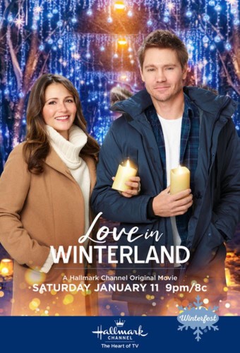 Love in Winterland (2020) poster