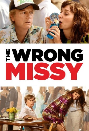 The Wrong Missy (2020) poster