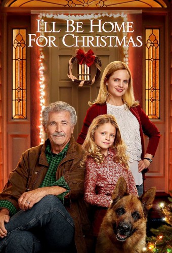 I'll Be Home for Christmas (2016) poster