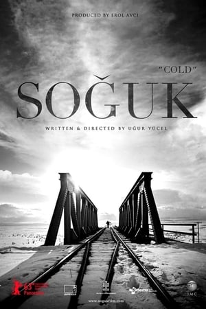 Soğuk afişi
