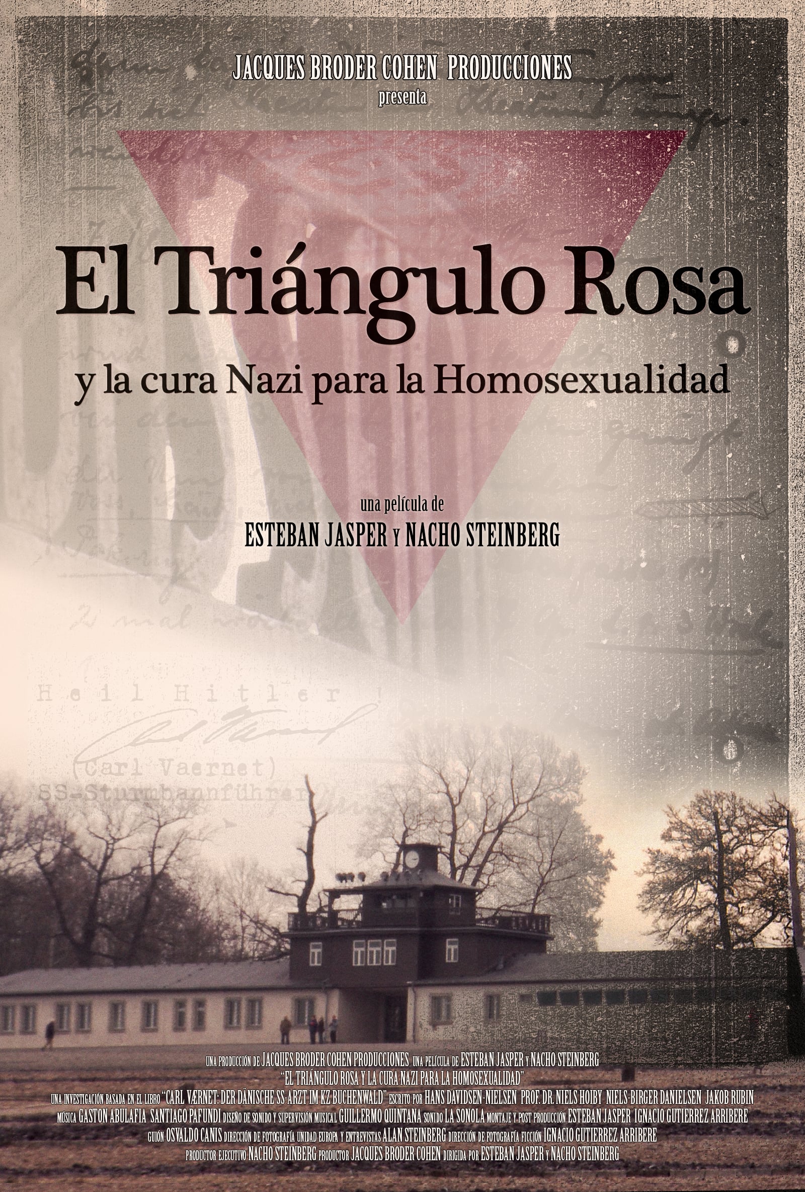 El triángulo rosa y la cura nazi para la homosexualidad