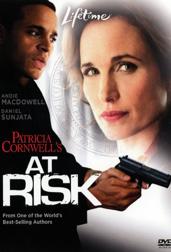 At Risk (2010) poster