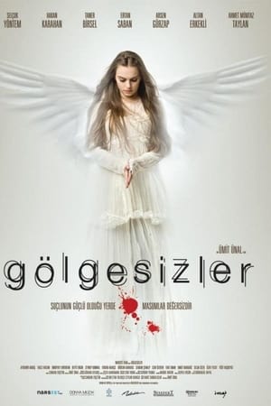 Gölgesizler film afişi (2009)