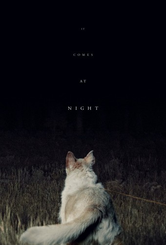It Comes at Night afişi