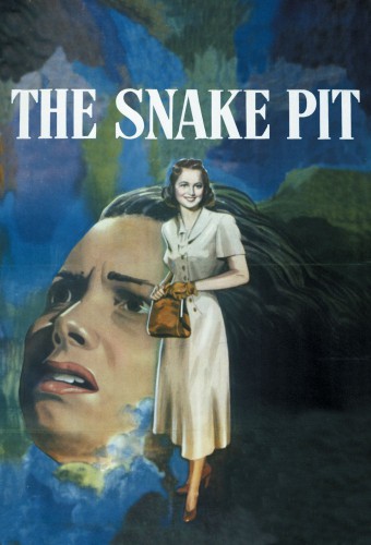 The Snake Pit afişi