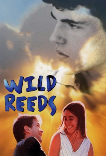 Wild Reeds film afişi (1994)