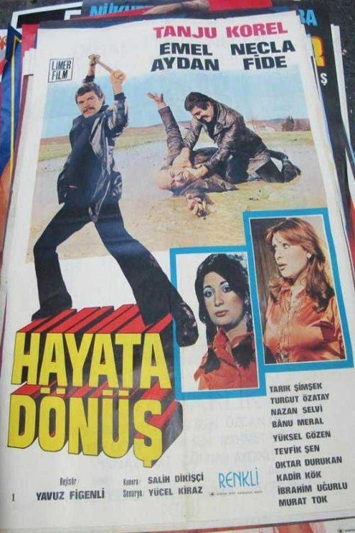 Hayata Dönüş