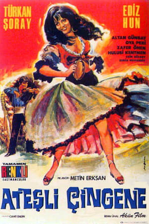 Ateşli Çingene afişi