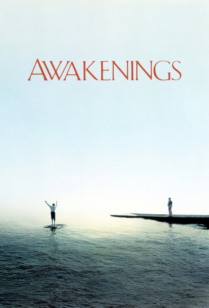 Awakenings afişi