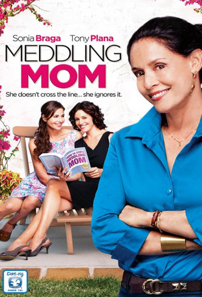 Meddling Mom (2013) poster