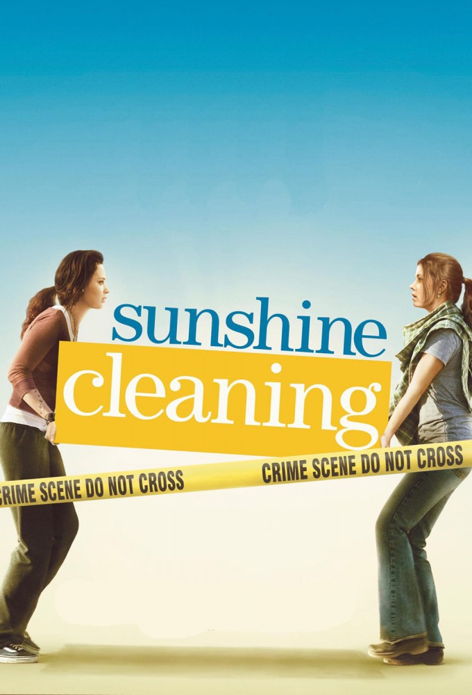 Sunshine Cleaning afişi