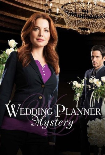 Wedding Planner Mystery (2014) poster
