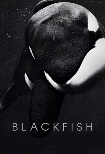 Blackfish afişi
