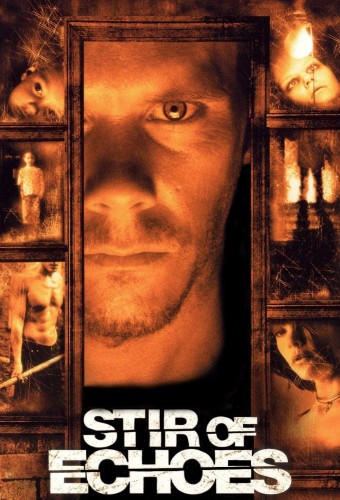 Stir of Echoes afişi