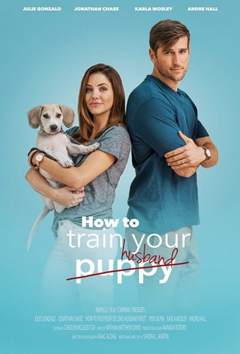 How to Train Your Husband (2018) poster
