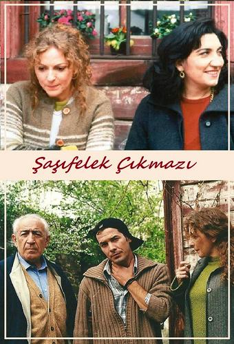 Şaşıfelek Çıkmazı dizi afişi (1996)