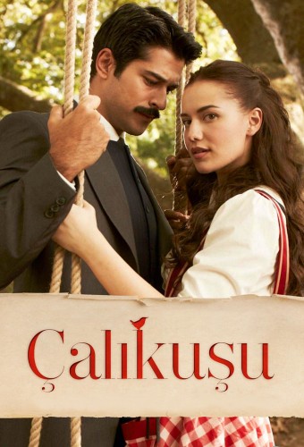 Королёк — птичка певчая