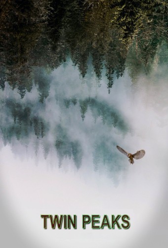 Twin Peaks dizi afişi (1990)