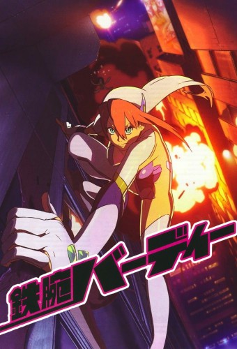 Tetsuwan Birdy Decode – plakat anime