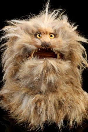Fizzgig, A Friendly Monster