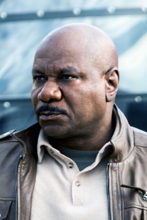 Ving Rhames as Luther Stickell