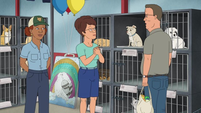 Care of the Dog still