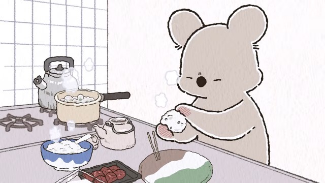 Koala Picnics at Home / Koala Gets Distracted While Cleaning / Koala Does a Little Redecorating
