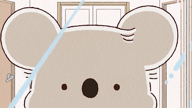 Koala Gets Bed Head / Koala Basks in the Afterglow