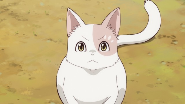 The White Cat and the Girl