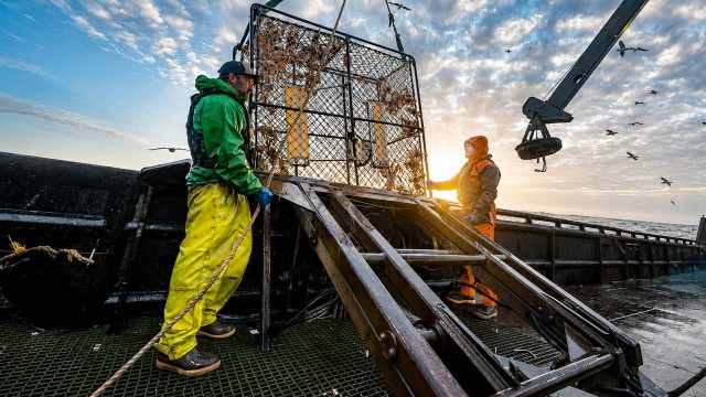 Still from Aleutian Solution