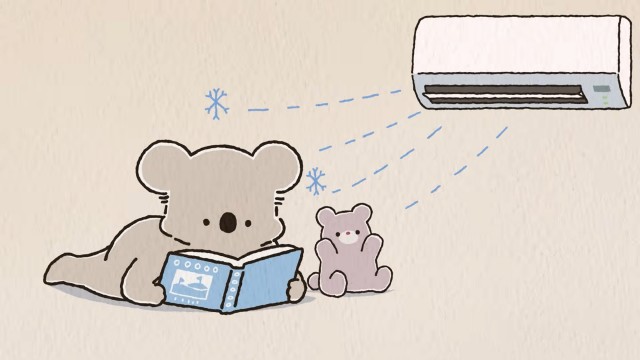 Koala Revels in the Coming of Fall