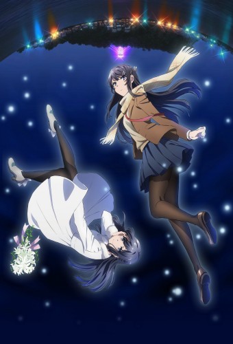 Seishun Buta Yarou wa Yumemiru Shoujo no Yume wo Minai – plakat anime