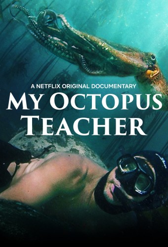 My Octopus Teacher (2020) poster