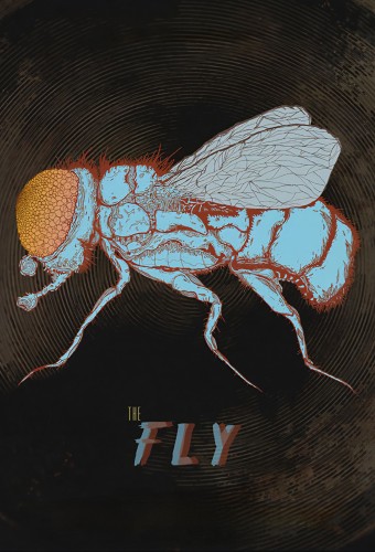 The Fly afişi