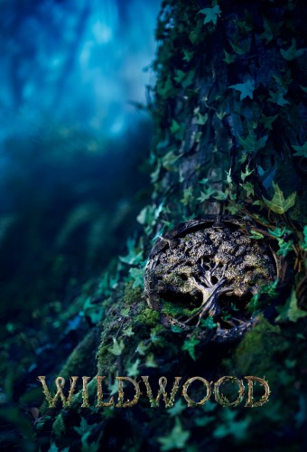 Wildwood (2026) poster