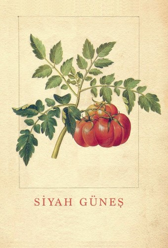 Siyah Güneş film afişi (2019)