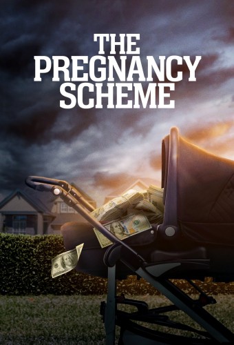 The Pregnancy Scheme (2023) poster