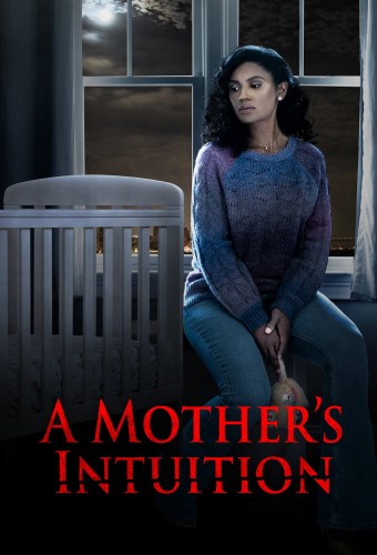 A Mother's Intuition (2024) poster
