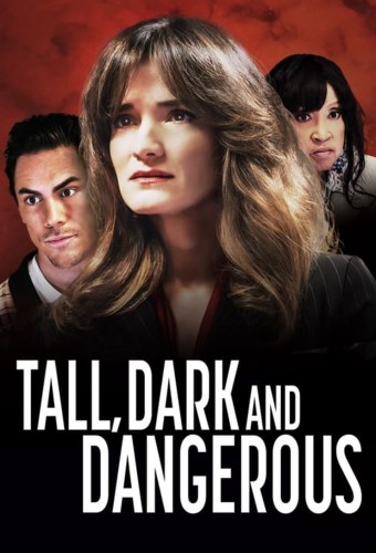 Tall, Dark and Dangerous (2024) poster