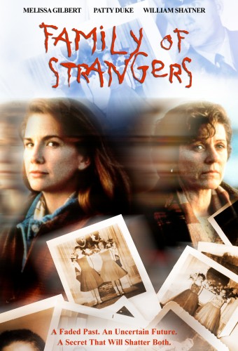 Family of Strangers (1993) poster