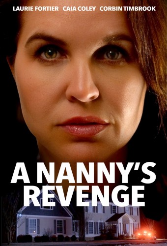 A Nanny's Revenge (2024) poster
