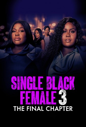 Single Black Female 3 (2025) poster