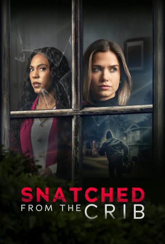 Snatched From the Crib (2025) poster
