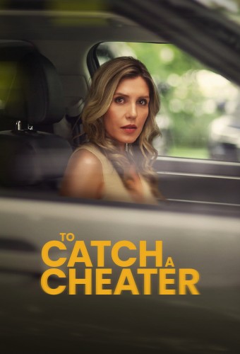 To Catch a Cheater (2026) poster