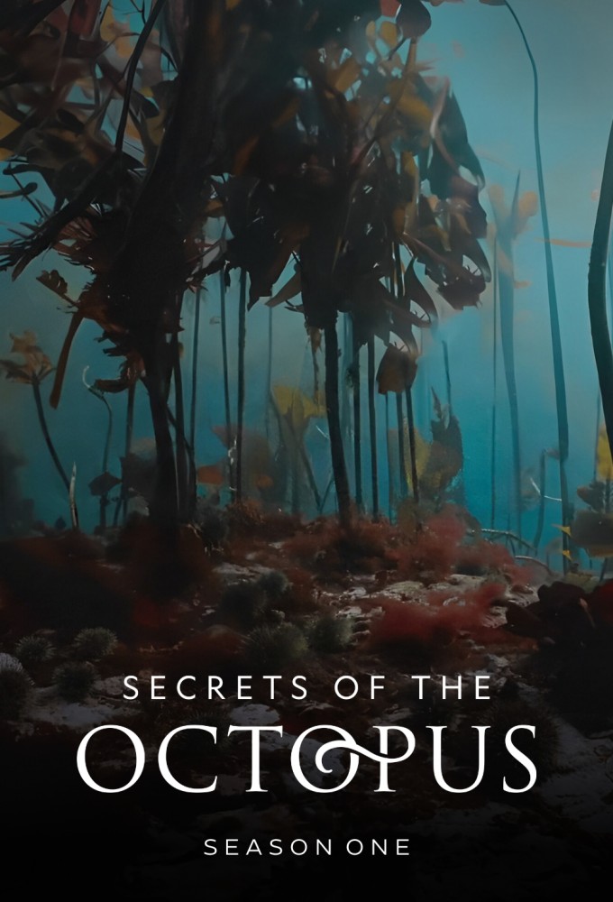 Secrets of the Octopus season 1 on National Geographic