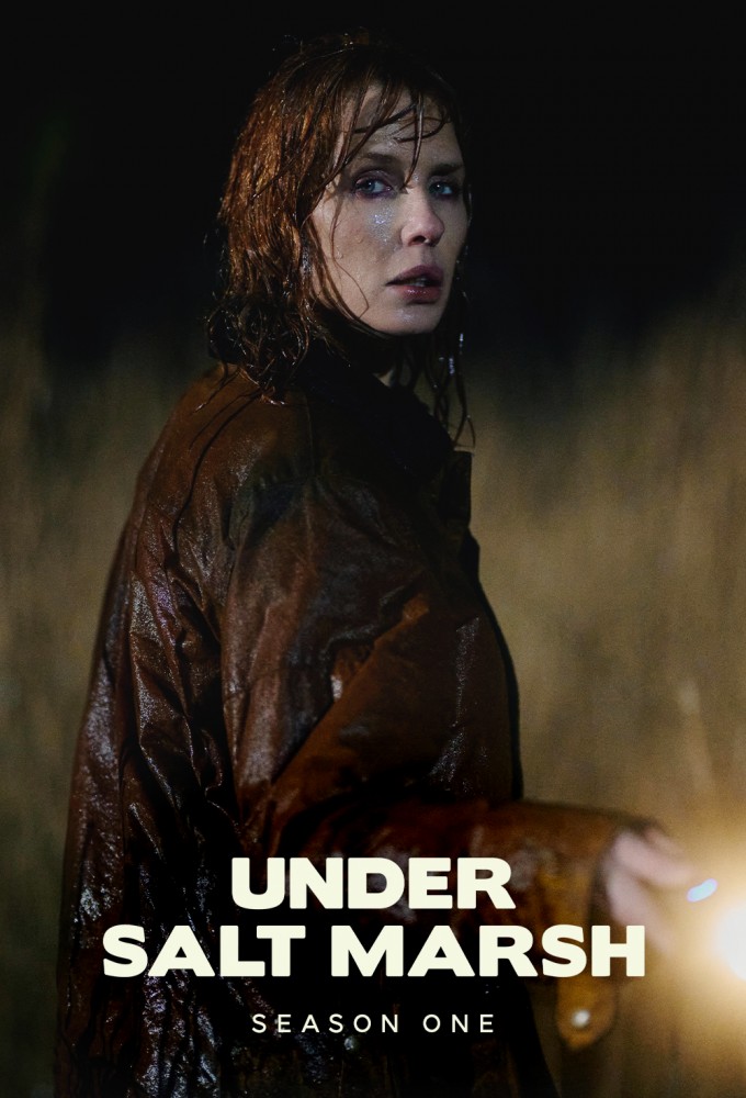 Under Salt Marsh poster