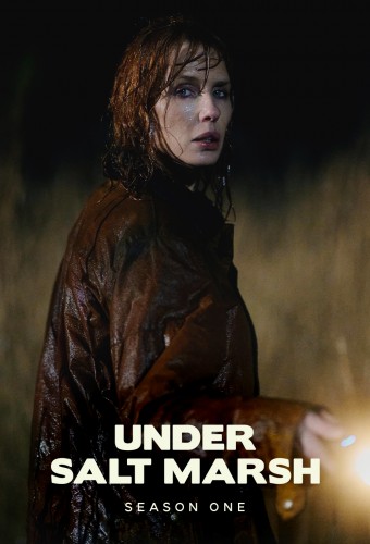 Under Salt Marsh poster