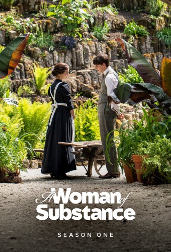 A Woman of Substance poster