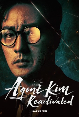 Agent Kim Reactivated poster